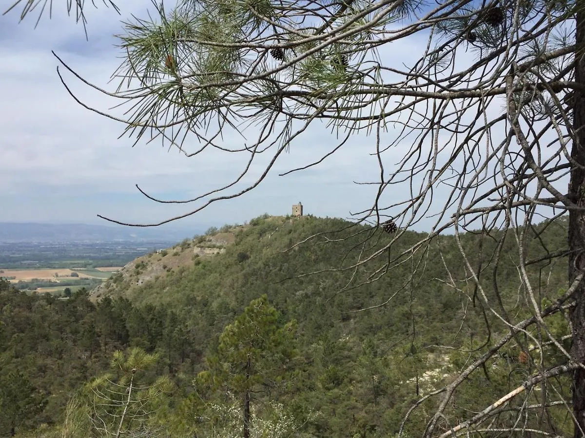 Casa vacanze Agréable bastide provençale avec piscine Barcelonne  Francia