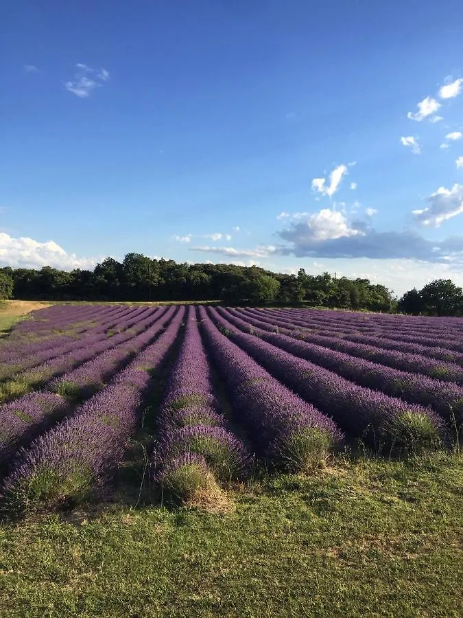 Agréable bastide provençale avec piscine Barcelonne  Casa vacanze